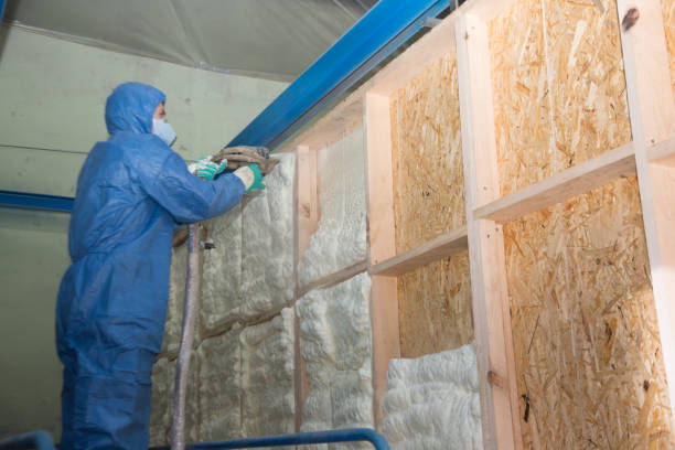 Best Insulation Replacement Services  in Winfield, AL