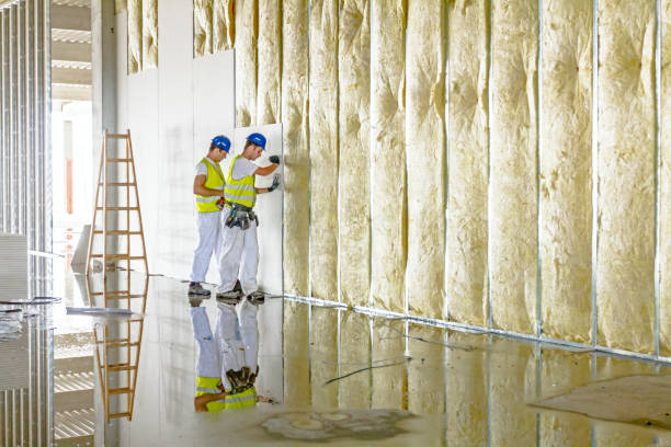 Insulation Repair Services in Winfield, AL